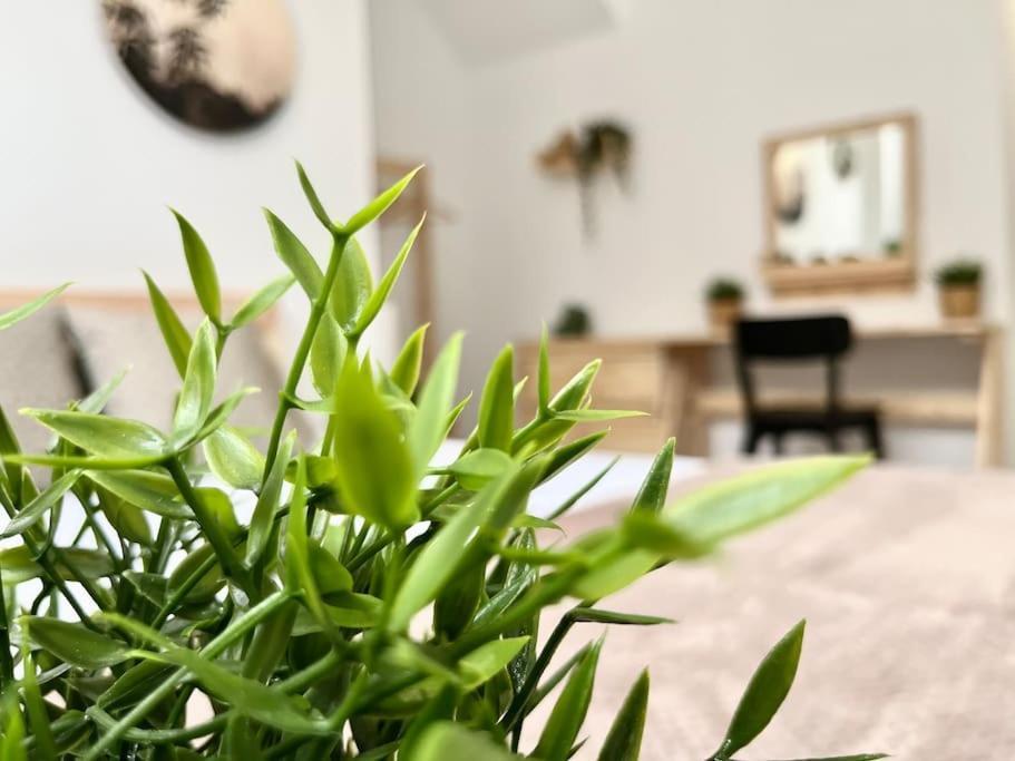 Apartamento Vive Zaragoza V Exteriér fotografie
